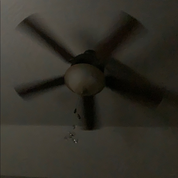 Meet your Posher, David - Picture 1 of 1